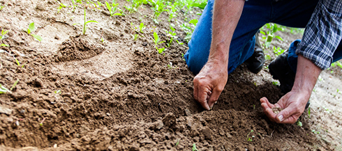 土壤有机污染的有效应对方法和修复设备